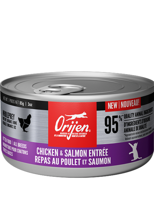 Repas au poulet et saumon pour chatons